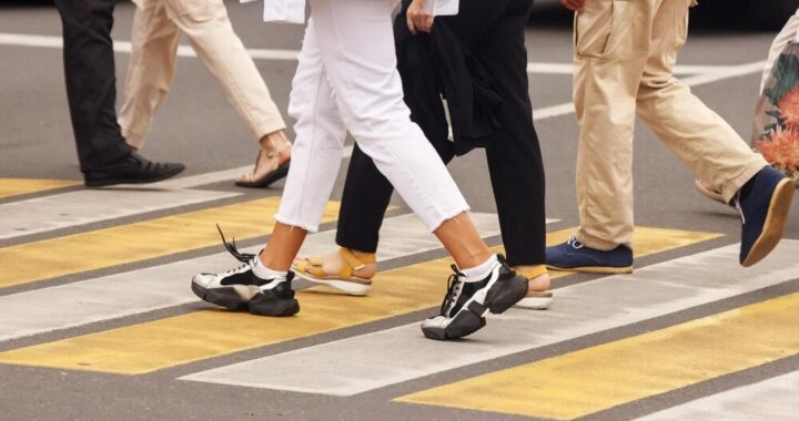 poszukiwany-w--a--ciciel-rannego-pieska-znalezione-auto-6010