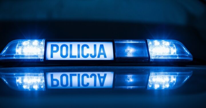 31-latek-z-trawnik-w-areszcie-za-brutalne-zn--cani-auto-344