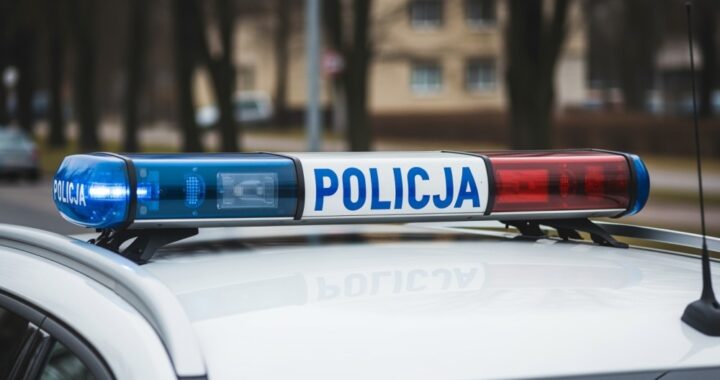 interwencje-stra--y-miejskiej-w---widniku--85-dzia-auto-6613