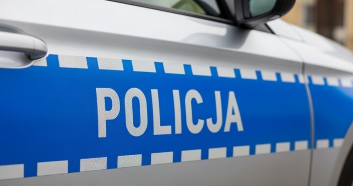 interwencje-stra--y-miejskiej-w---widniku--co-dzia-auto-6651