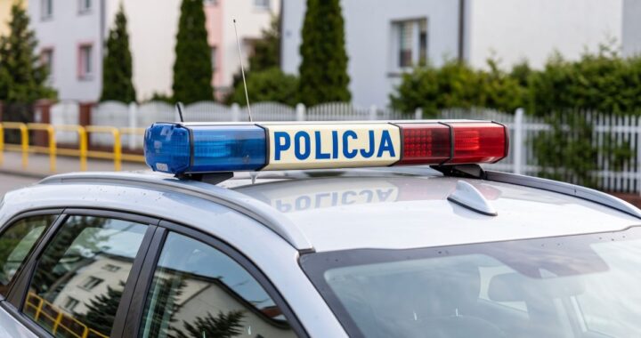 interwencje-stra--y-miejskiej-w---widniku--co-dzia-auto-11233